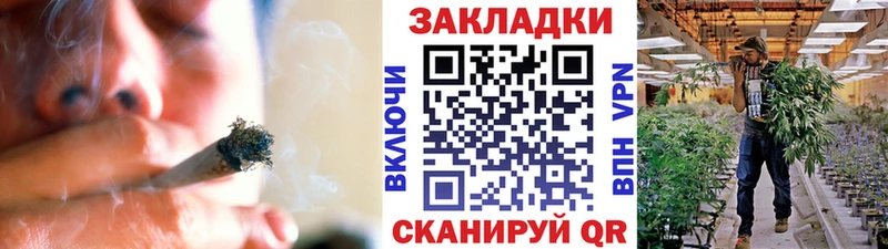 Где можно купить наркотики Новочебоксарск Псилоцибиновые грибы  Каннабис  Меф  Гашиш  ТГК  APVP 