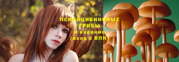 МДПВ Медвежьегорск