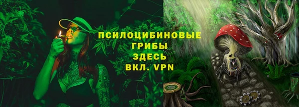 МДПВ Медвежьегорск